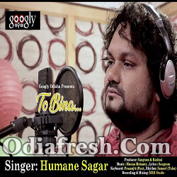 To Bina Odia Sad Song (Humane Sagar)